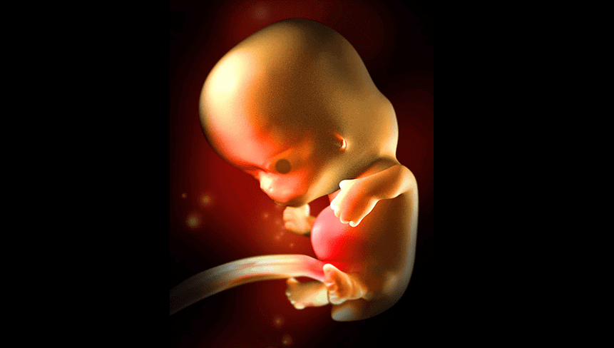 8 Weeks Pregnant: Symptoms, Fetal Development and Prenatal Care
