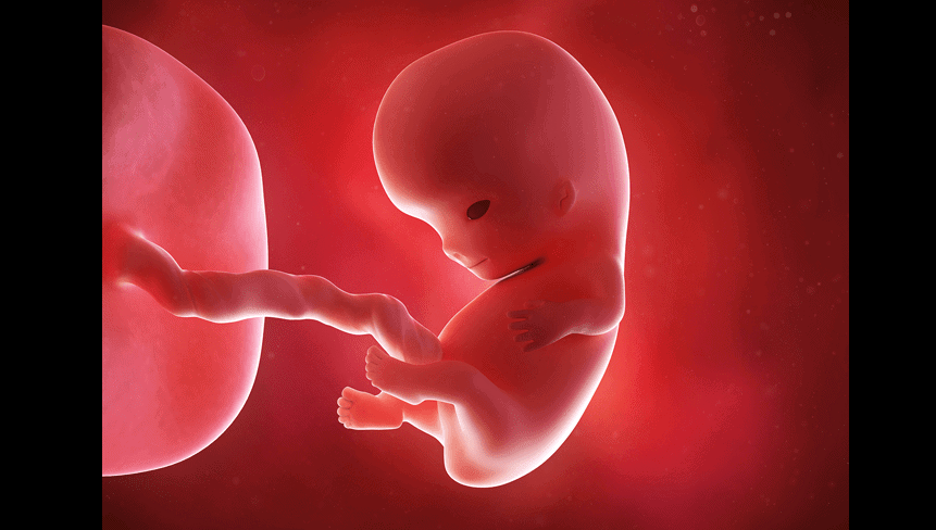 9 Weeks Pregnant: Symptoms, Development, and Fetal Health