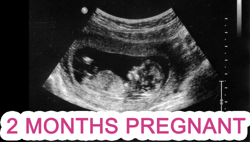 2 Months Pregnant: Symptoms And Prenatal Care Tips For A Healthy Pregnancy